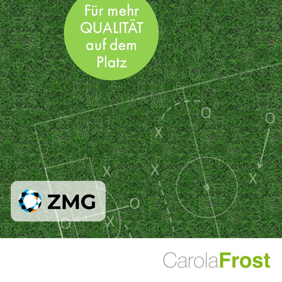 ZMG – 13. Februar 2020 – Wie Führungskräfte die Verkaufsqualität der Mediaberater steigern