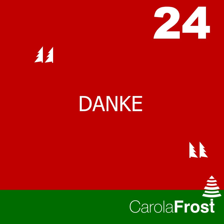 24 Danke ohne Foto xmas_2022_tag24_Carola Frost